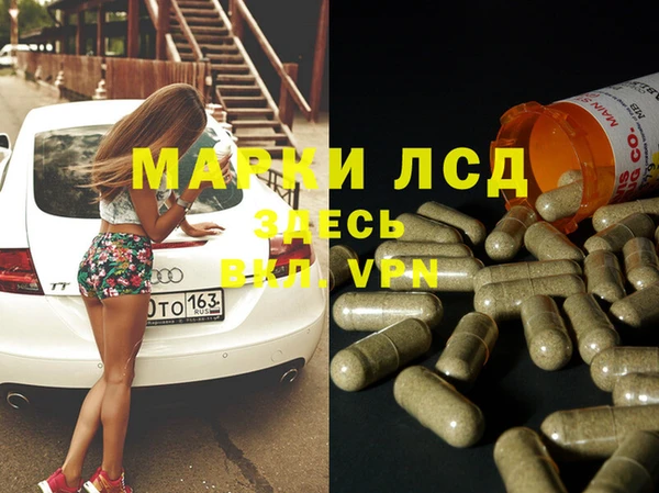 стаф Алексин