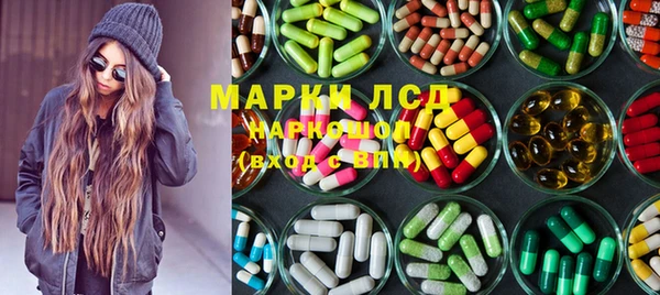 стаф Алексин