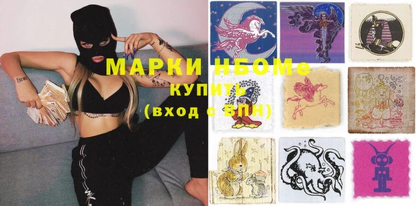 стафф Алзамай