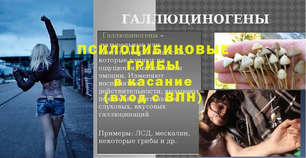 шишки Алексеевка
