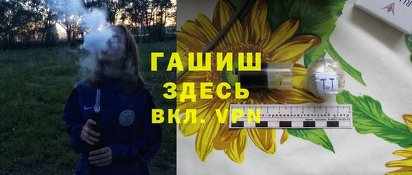 стаф Алексин