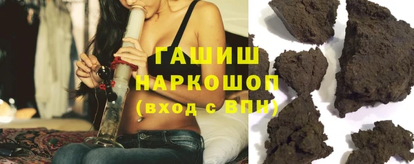 стаф Алексин