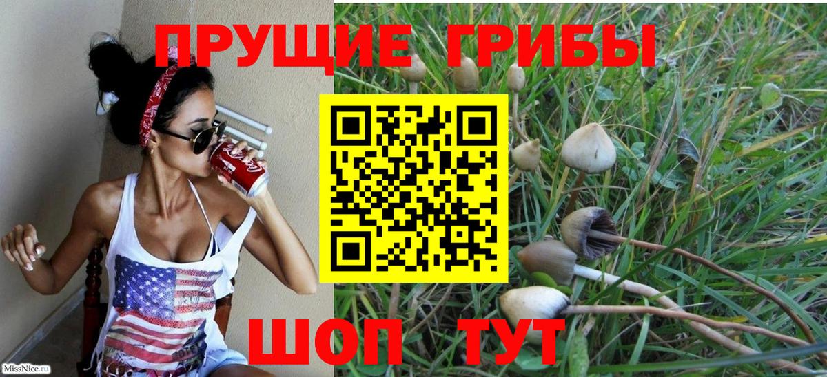 Тулун  Галлюциногенные грибы мицелий  Вход с VPN 