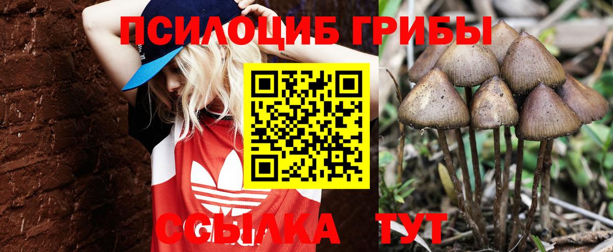 Псилоцибиновые грибы GOLDEN TEACHER Тулун