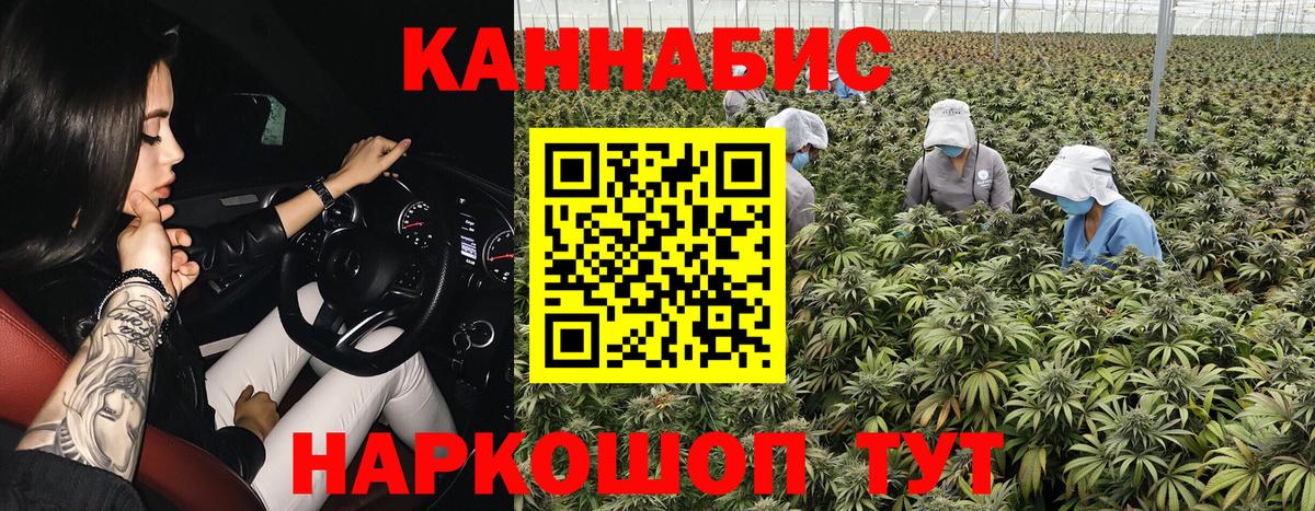 Бошки Шишки VHQ Тулун